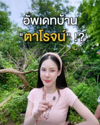 ซ้อฝัน 313K